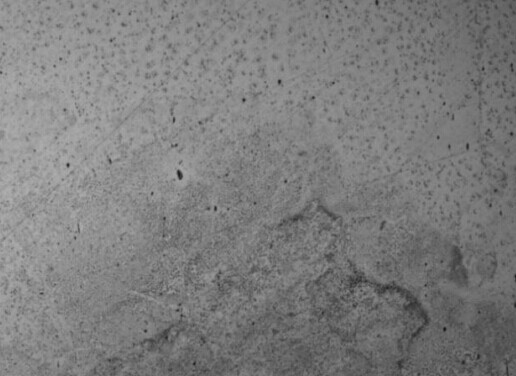 二養(yǎng)化氯腐蝕試驗(yàn)